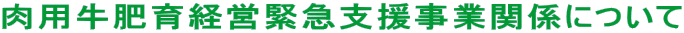���p�����o�c�ً}�x�����Ɗ֌W�ɂ���